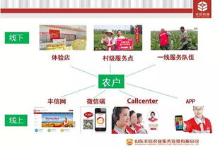 高青萬(wàn)千農(nóng)民的福音 首家互聯(lián)網(wǎng)種植服務(wù)行業(yè)企業(yè)落戶大高青